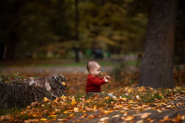 Netter Kleiner Junge Spielt Und Hat Spaß Herbstpark Mit Gelben — Stockfoto