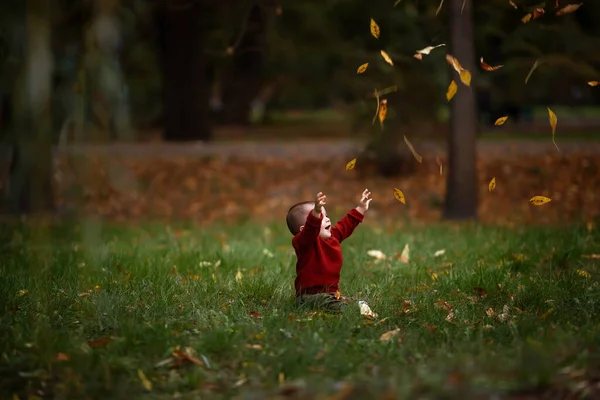 Cute Little Baby Boy Gry Zabawy Jesiennym Parku Żółtymi Liśćmi — Zdjęcie stockowe