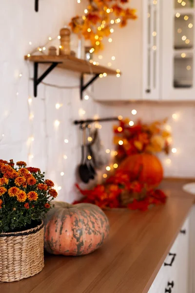 Autumn kitchen interior. Red and yellow leaves and flowers in the vase and pumpkin on white background.