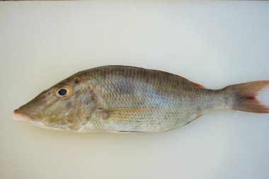 Beyaz tahtada taze balık.