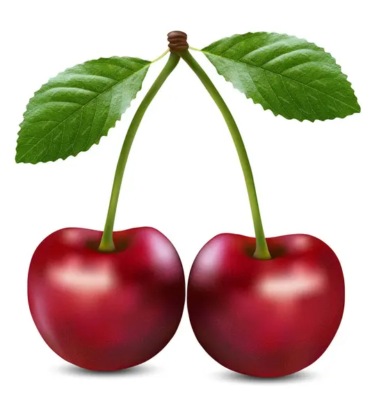 Vektör illüstrasyon. Gerçekçi, parlak, sulu, taze çilek kiraz, vurgular ve beyaz bir arka plan üzerinde gölgeler ile. Tabela lar için kullanılabilir: dükkanlar, marketler, logolar, afişler, vb.