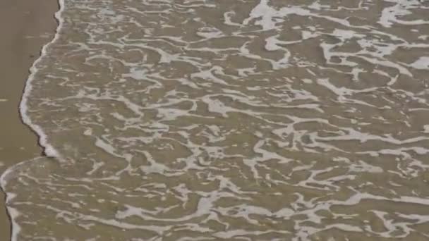 Ação Suave Onda Praia Arenosa — Vídeo de Stock