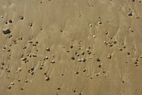 Çakıl Taşları Serpiştirilmiş Yumuşak Kumlu Sahil — Stok fotoğraf