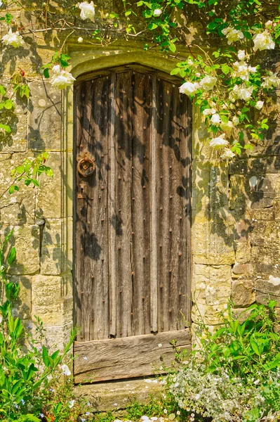 Porta Madeira Velha Parede Pedra Com Rosas Brancas Sobre Num — Fotografia de Stock