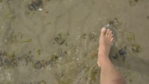 Felnőtt Férfi Lábak Sétálnak Sekély Tiszta Vízen Homokos Parton Felülről — Stock videók