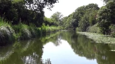 Chichester Kanalı, Batı Sussex, İngiltere. Dar kayığı hareket ettirmekten. Kırsal bölge, ağaç sıralı.