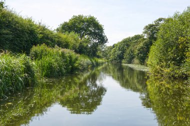 Dar kayıktan Chichester Kanalı 'na bak. Batı Sussex, İngiltere.