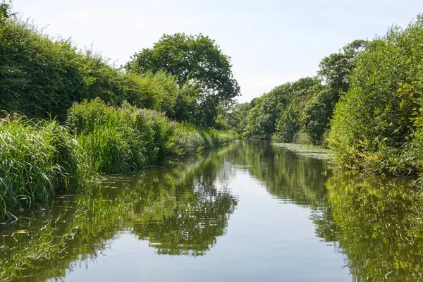 Dar kayıktan Chichester Kanalı 'na bak. Batı Sussex, İngiltere.
