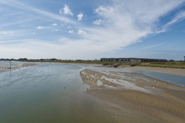 Batı Sussex, İngiltere 'deki Shoreham' daki Adur nehri. Brighton Havaalanı 'nda yeni depoları var. Dalgalar çekildi. Çamurdaki kuşlar.