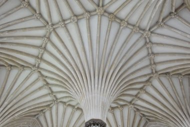 Tierceron, Wells Katedrali Bölüm Binası 'nın tavanına tırmandı. Somerset. İngiltere.