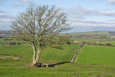 Güney Tepeleri 'ndeki tarlalar ve kırsal alanlar, İngiltere' nin Batı Sussex kentindeki Worthing yakınlarındaki Cissbury Ring antik tepesinden görüldü..
