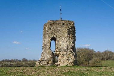 İngiltere, Sussex 'te Horsham yakınlarındaki Knepp Kalesi' nin yıkılmış kalıntıları..