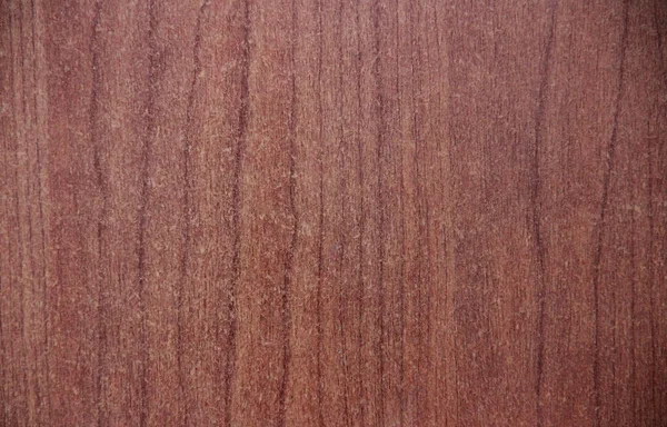 Tekstur Dari Kayu Alami Coklat Dengan Garis Garis Longitudinal Panjang — Stok Foto