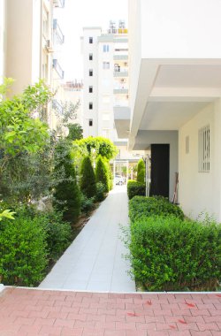 Asfalt döşemeler ve yeşil bitkilerle bahçenin peyzajı