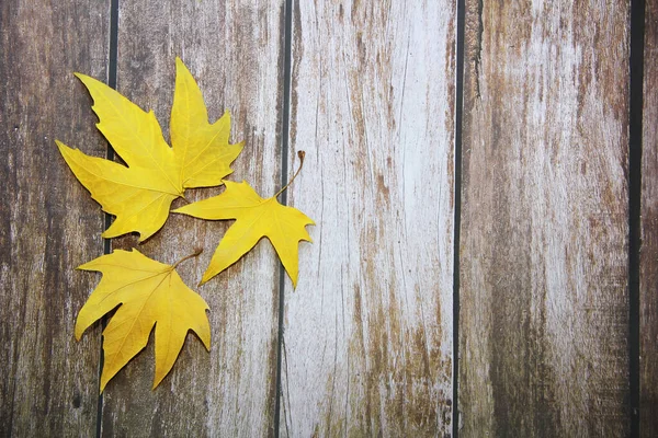 Żółty Suchy Klon Jesienny Liście Drewnianym Tle — Zdjęcie stockowe