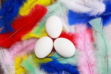 Renkli kuş tüylerinin arka planında beyaz Paskalya yumurtaları