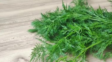 A bunch of green dill in close-up on a wooden background