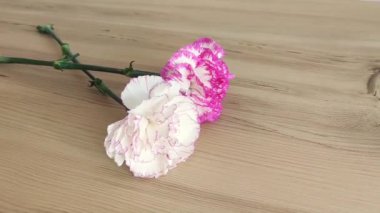 Doğal çiçekler beyaz ve pembe karanfil kahverengi ahşap arka planda yeşil yapraklar