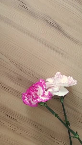 Flores Naturais Cravo Branco Rosa Com Folhas Verdes Fundo Madeira — Vídeo de Stock