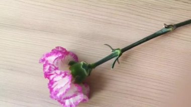 Kahverengi ahşap arka planda doğal pembe ve beyaz karanfil. 