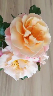 Ahşap arka planda doğal pembe-turuncu gül çiçekleri