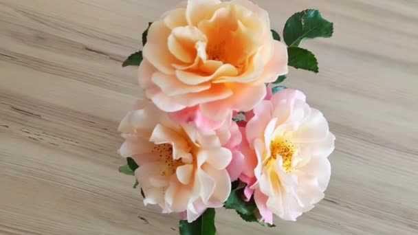 Flores Rosa Alaranjadas Naturais Fundo Madeira — Vídeo de Stock