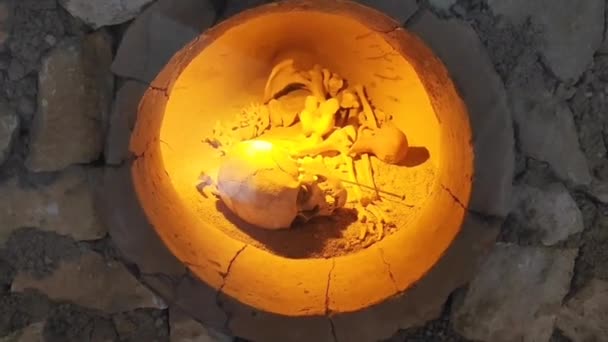 Скелет Череп Кости Древнего Человека Найденные Археологических Раскопках — стоковое видео