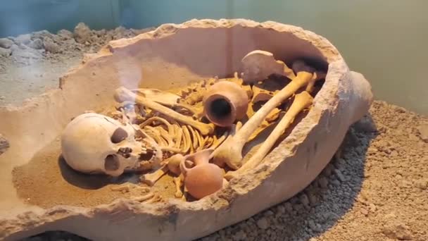 Esqueleto Cráneo Huesos Hombre Antiguo Encontrados Durante Las Excavaciones Arqueológicas — Vídeo de stock