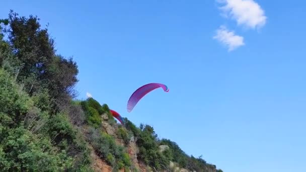 Parapente Rojo Con Piloto Vuela Cielo Azul — Vídeo de stock