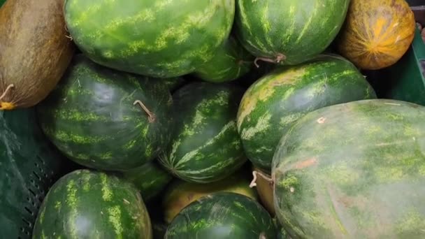 Melones Amarillos Dulces Naturales Sandías Verdes Cajas Venta Una Tienda — Vídeos de Stock