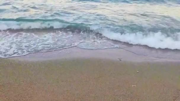Морська Хвиля Піщаному Березі Середземного Моря — стокове відео