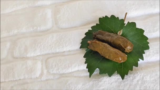 美味的传统东方土耳其洋娃娃 由葡萄叶制成 里面塞满了米饭和白砖背景的绿叶 — 图库视频影像