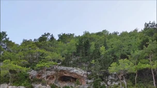 Krásné Skály Hory Zelenými Stromy Vegetace Pozadí Modré Oblohy — Stock video