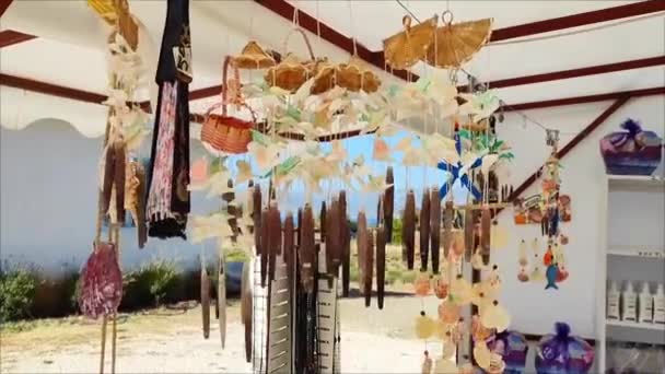 Muscheln Seil Aufgehängt Bunte Windspiele — Stockvideo