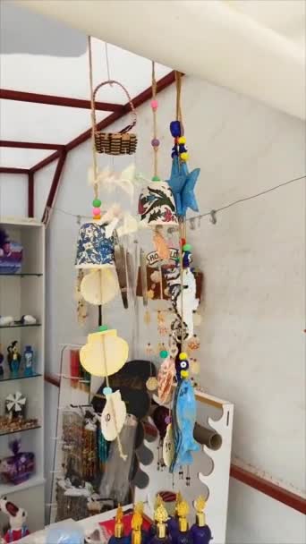 海鸥悬挂在绳子上五彩缤纷的风铃 — 图库视频影像