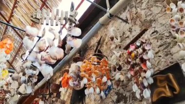 İç dekoratif, deniz kabuklarından yapılmış çok renkli süslemeler.
