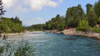 Temiz su ve hızlı akan bir dağ nehri. Pahalı bir orman bölgesinde.