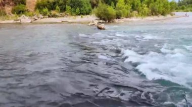 Temiz su ve hızlı akan bir dağ nehri. Pahalı bir orman bölgesinde.