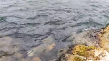 Hızlı bir akıntıyla bir dağ nehrinde temiz su