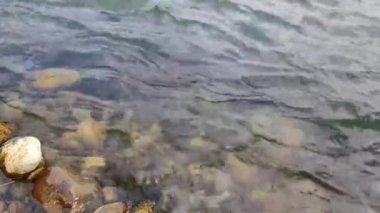 Hızlı bir akıntıyla bir dağ nehrinde temiz su