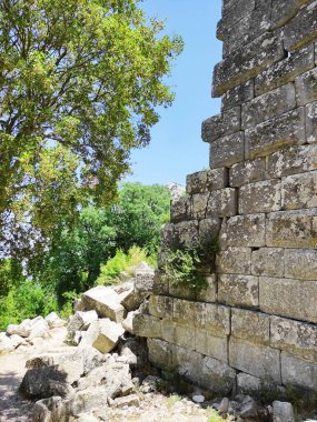 Eski şehrin antik taş kalıntıları, pitoresk bir orman bölgesinde.