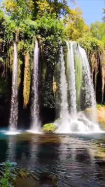 Resimli bir orman bölgesindeki uçurumdan düşen güzel bir şelale.
