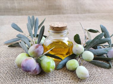 Dal dallarında doğal yeşil zeytin yaprakları ve zeytinyağı şeffaf bir şişede kahverengi jüt arka planda.