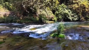 Temiz su ve hızlı akan bir dağ nehri. Pahalı bir orman bölgesinde.