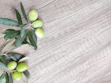 Ağaç zemininde yaprakları olan daldaki doğal yeşil zeytinler.