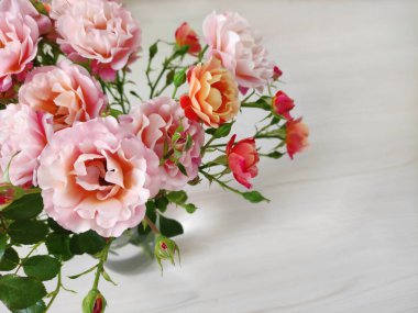 Açık arkaplanda pembe ve turuncu güllerden oluşan güzel bir buket.