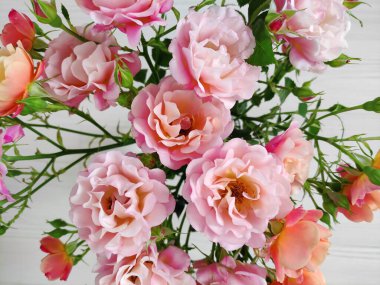 Açık arkaplanda pembe ve turuncu güllerden oluşan güzel bir buket.