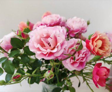 Açık arkaplanda pembe ve turuncu güllerden oluşan güzel bir buket.