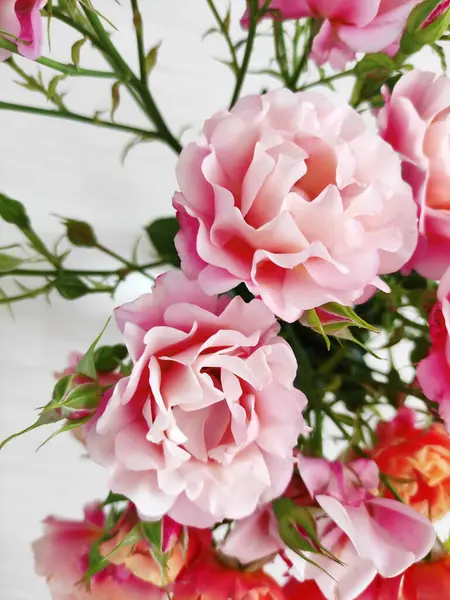 Açık arkaplanda pembe ve turuncu güllerden oluşan güzel bir buket.