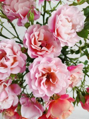 Açık arkaplanda pembe ve turuncu güllerden oluşan güzel bir buket.